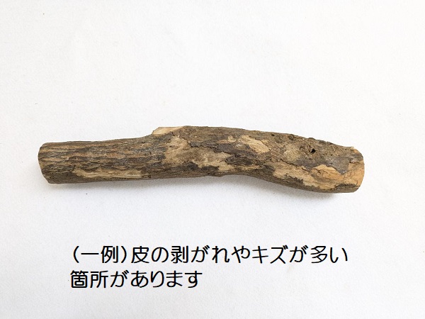 訳あり！国産 自然木止まり木 大（太さ約4.1～6.5cm）各サイズ